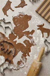 SET STAMPINI PER BISCOTTI ANIMALI